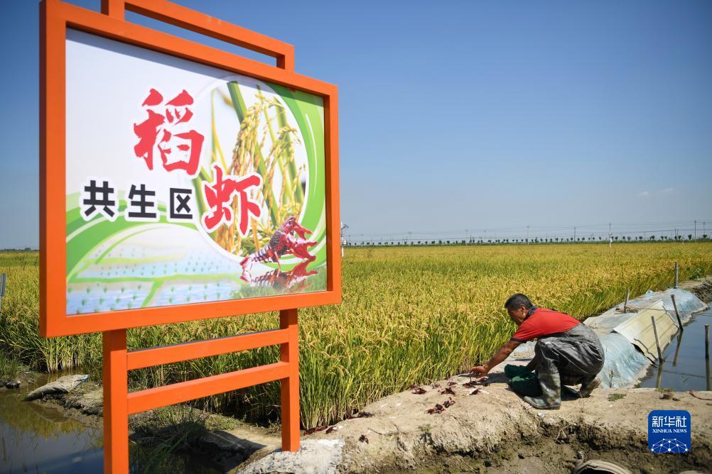 太阳集团2138